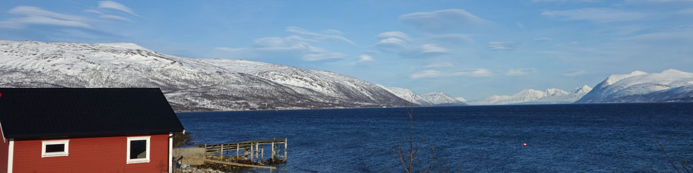 Aussicht aufs Fjord